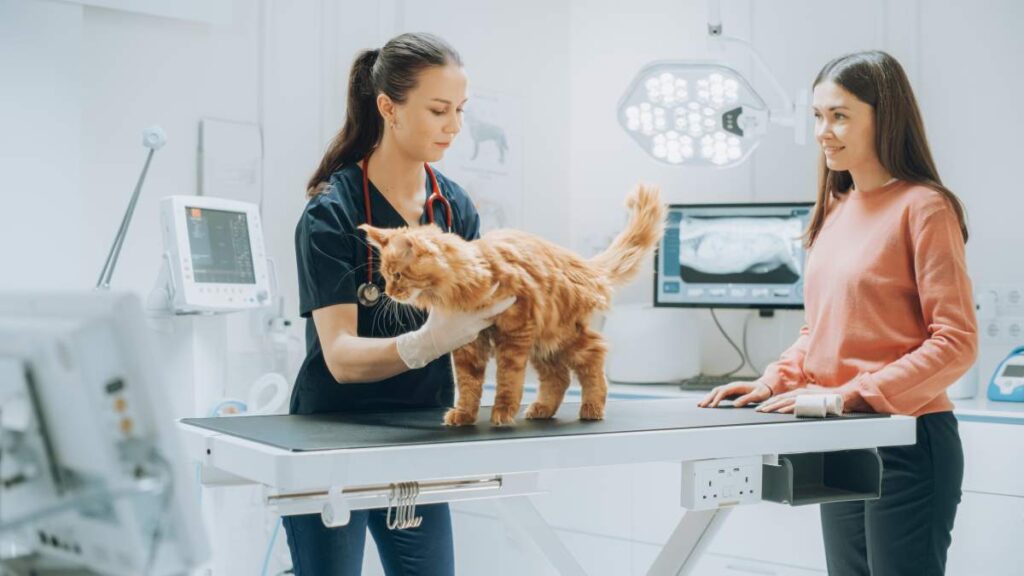 A person holding a small dog while giving it a tablet using a pill dispenser.