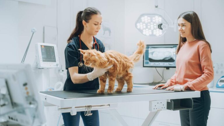 A person holding a small dog while giving it a tablet using a pill dispenser.