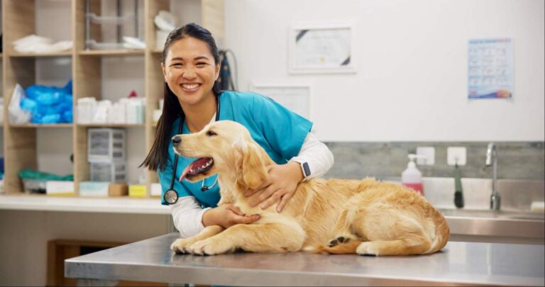 A concerned pet owner kneeling beside their dog, inspecting a suspicious object found on the ground.